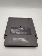 Load image into Gallery viewer, Ninja Gaiden