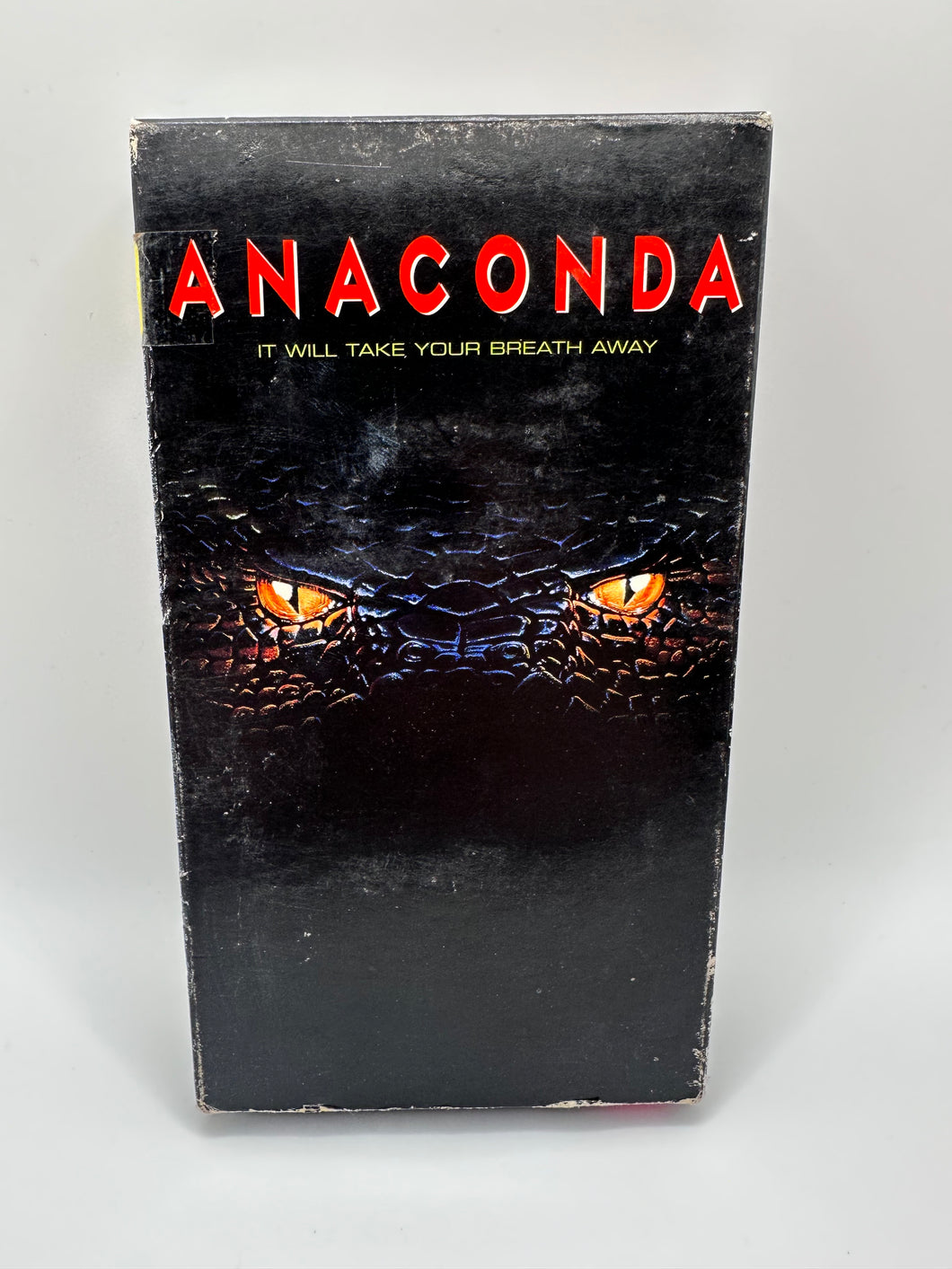 Anaconda