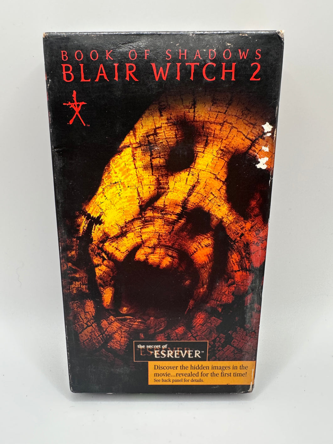 Book Of Shadows: Blair Witch 2