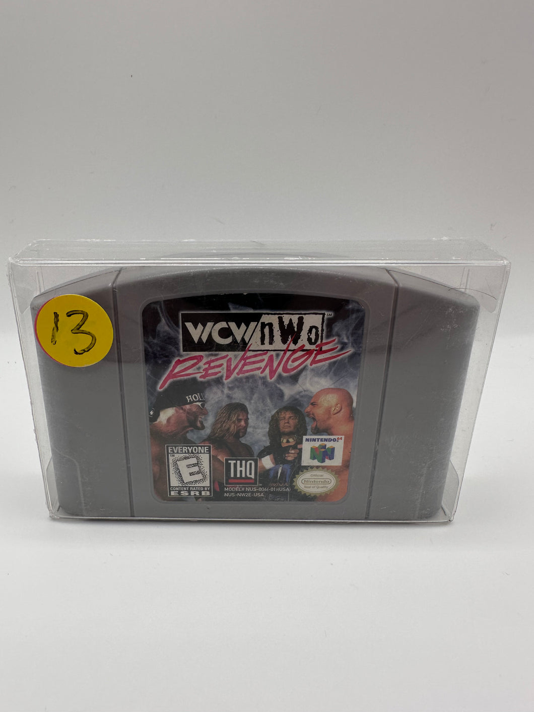 WCW/NWO Revenge